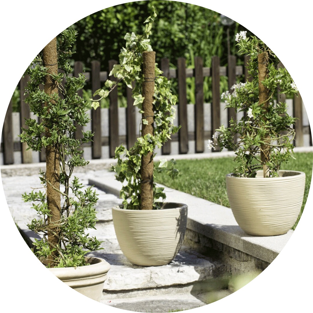 Pots pour plantes + vases - acheter chez Do it + Garden Migros